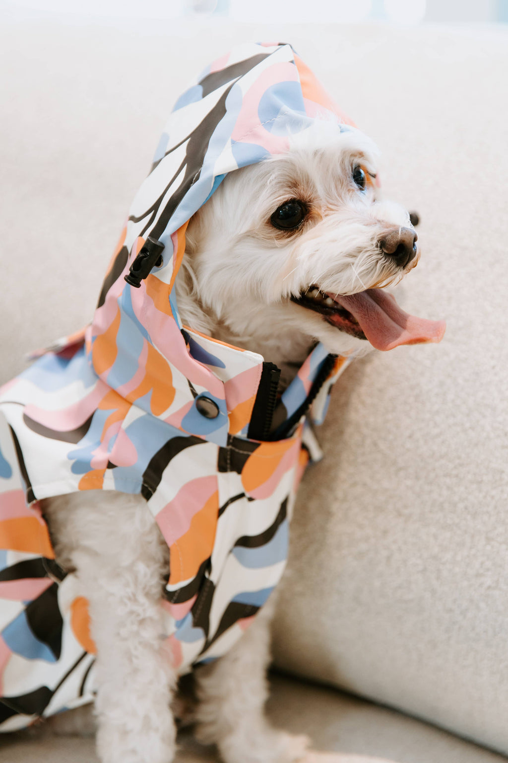 Stella & Oscar Leaf Dog Rain Jacket