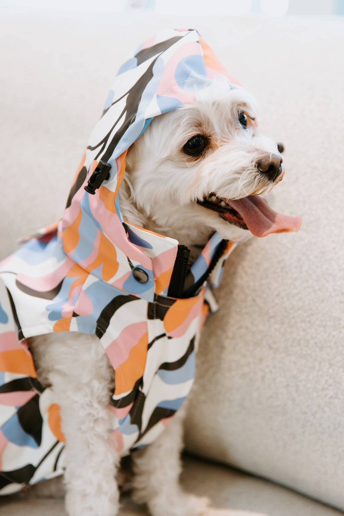 Stella & Oscar Leaf Dog Rain Jacket