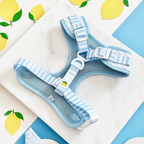 Cocopup London Living La Vida Lemon Adjustable Dog Harness