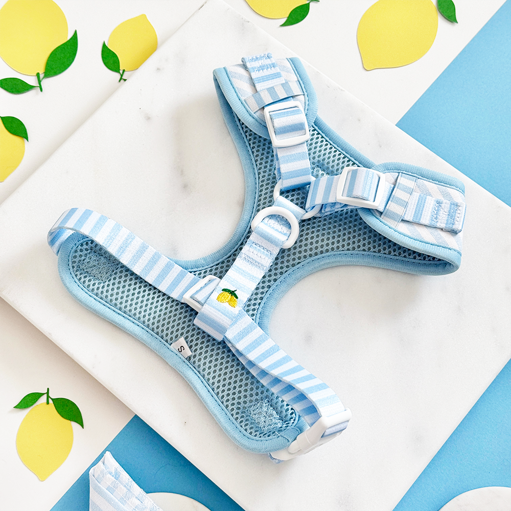 Cocopup London Living La Vida Lemon Adjustable Dog Harness