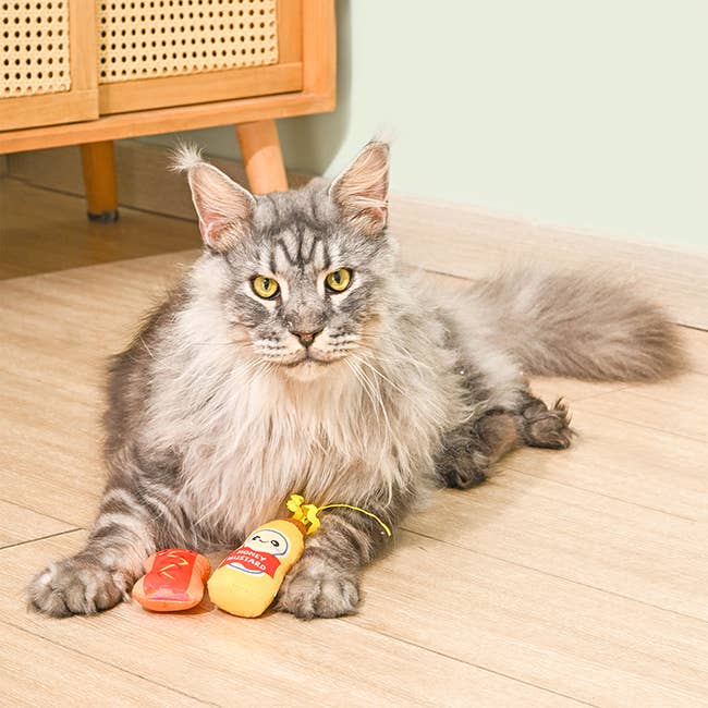 Kitten Party | Foodie Feline  - Cat Toy