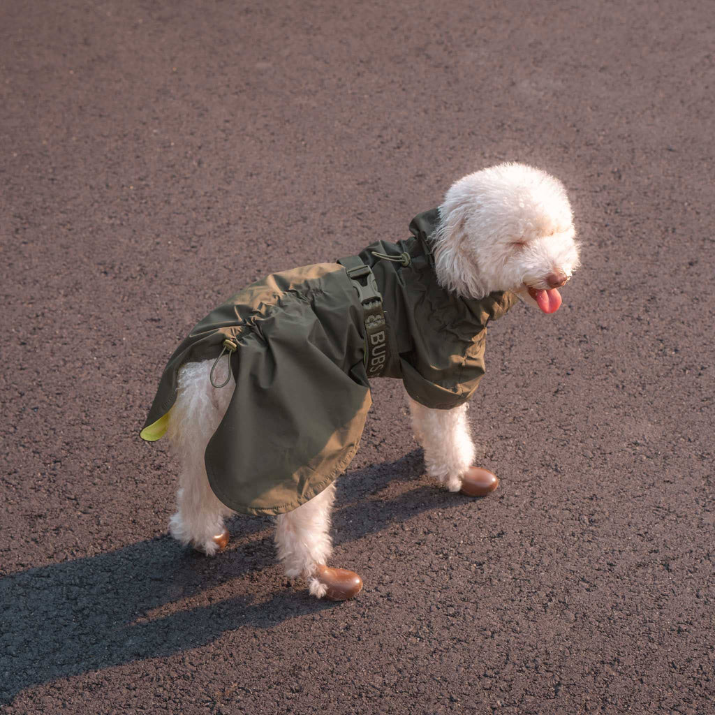 Pups & Bubs Lumi Raincoat for Dogs