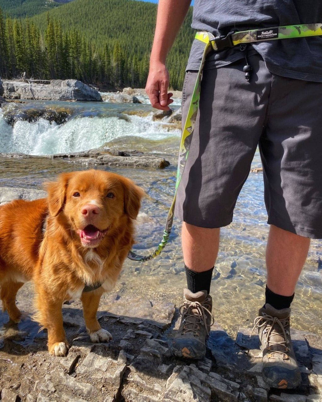 Hands-Free All-Mountain Dog Leash - 6ft or 8ft - Kootenay 