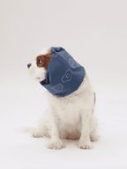 Bistro Snood Dog Ear Wrap