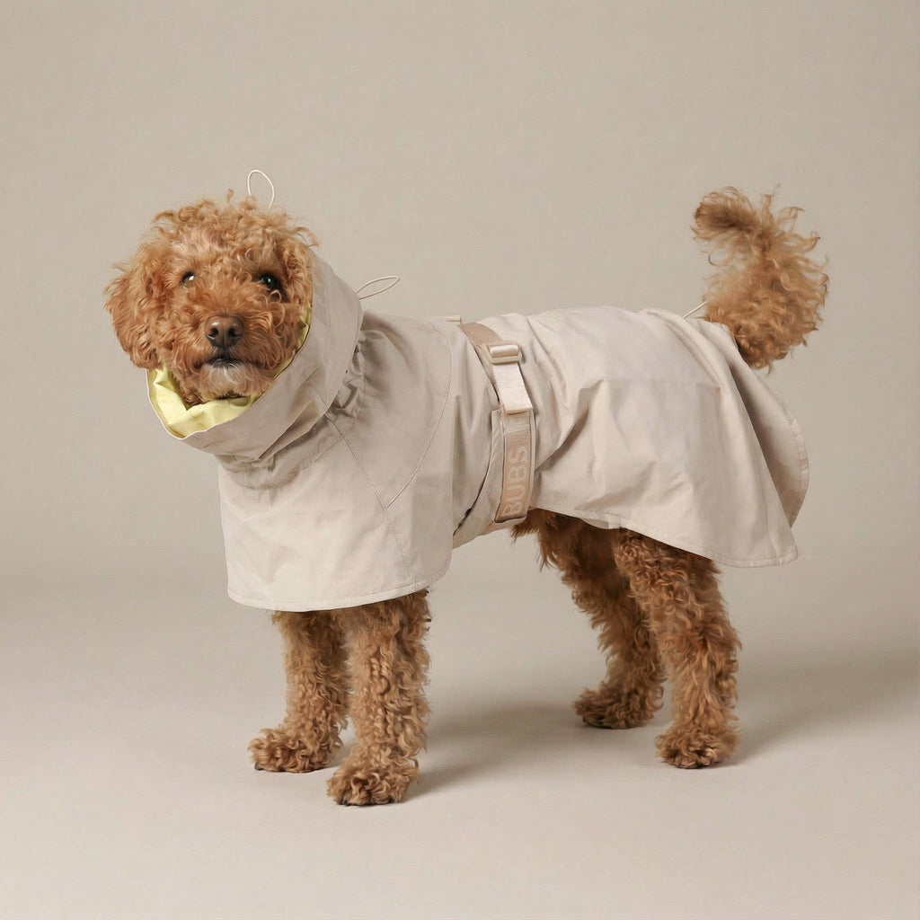 Pups & Bubs Lumi Raincoat for Dogs