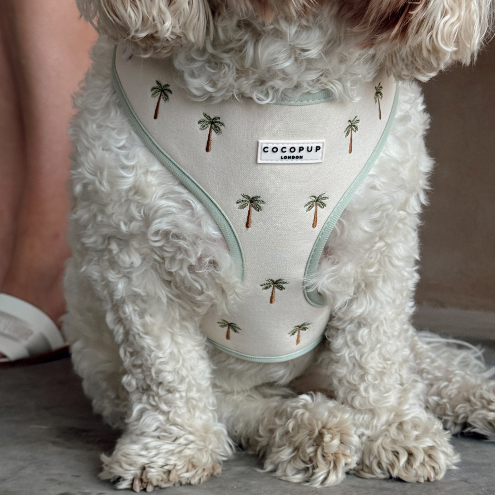 Cocopup London Palm Springs Adjustable Dog Harness