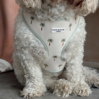Cocopup London Palm Springs Adjustable Dog Harness