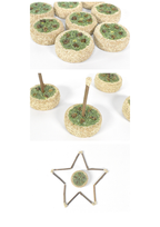 Silvervine Birthday Cake