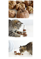 Silvervine Gall Fruit Hydrosol Spray for Cats – 35ml