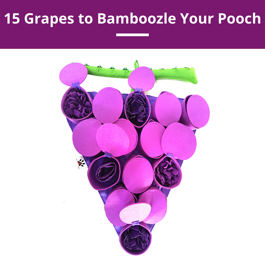 PawzNDogz Forbidden Grapes™ Snuffle Mat