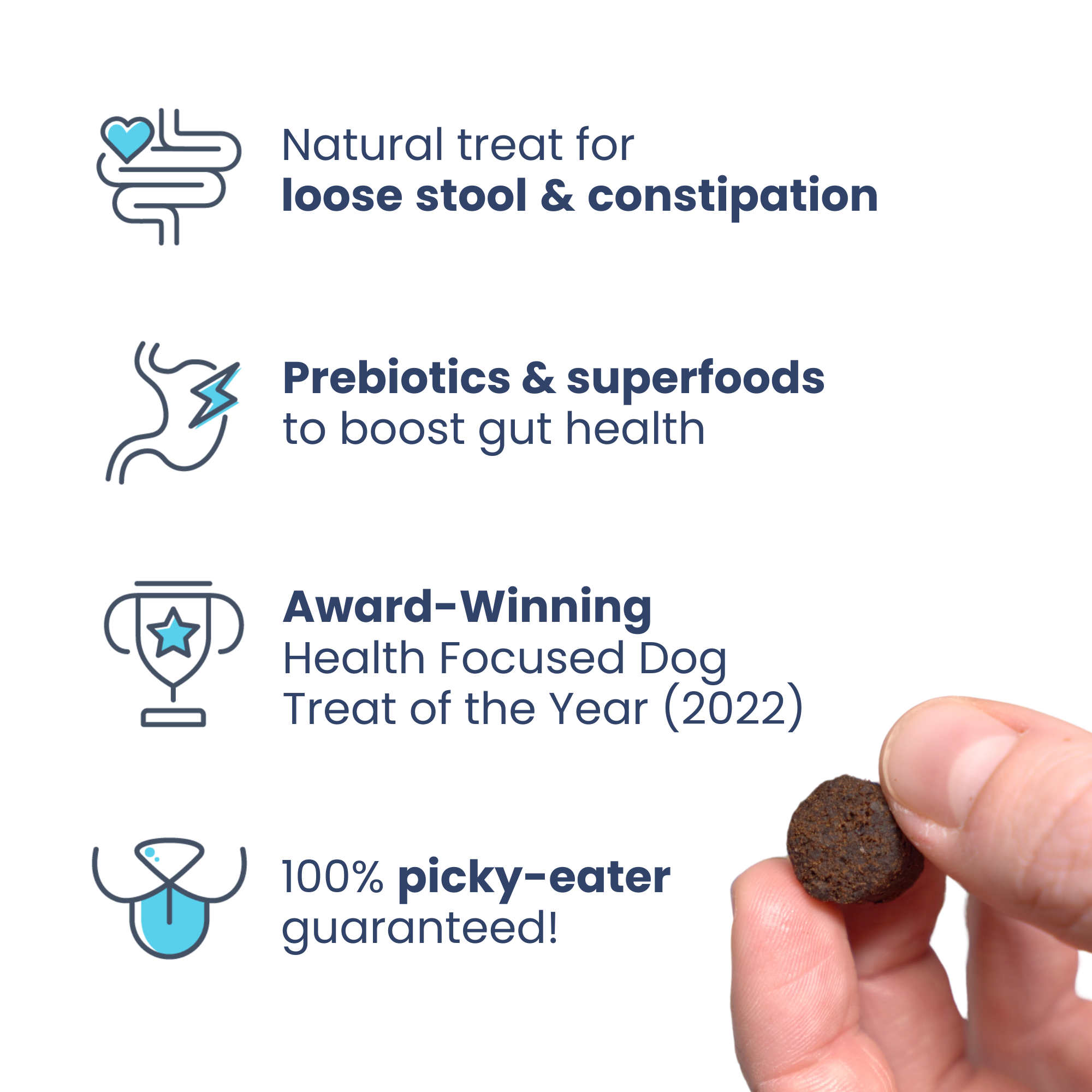 Turkey Gut Booster Dog Treats