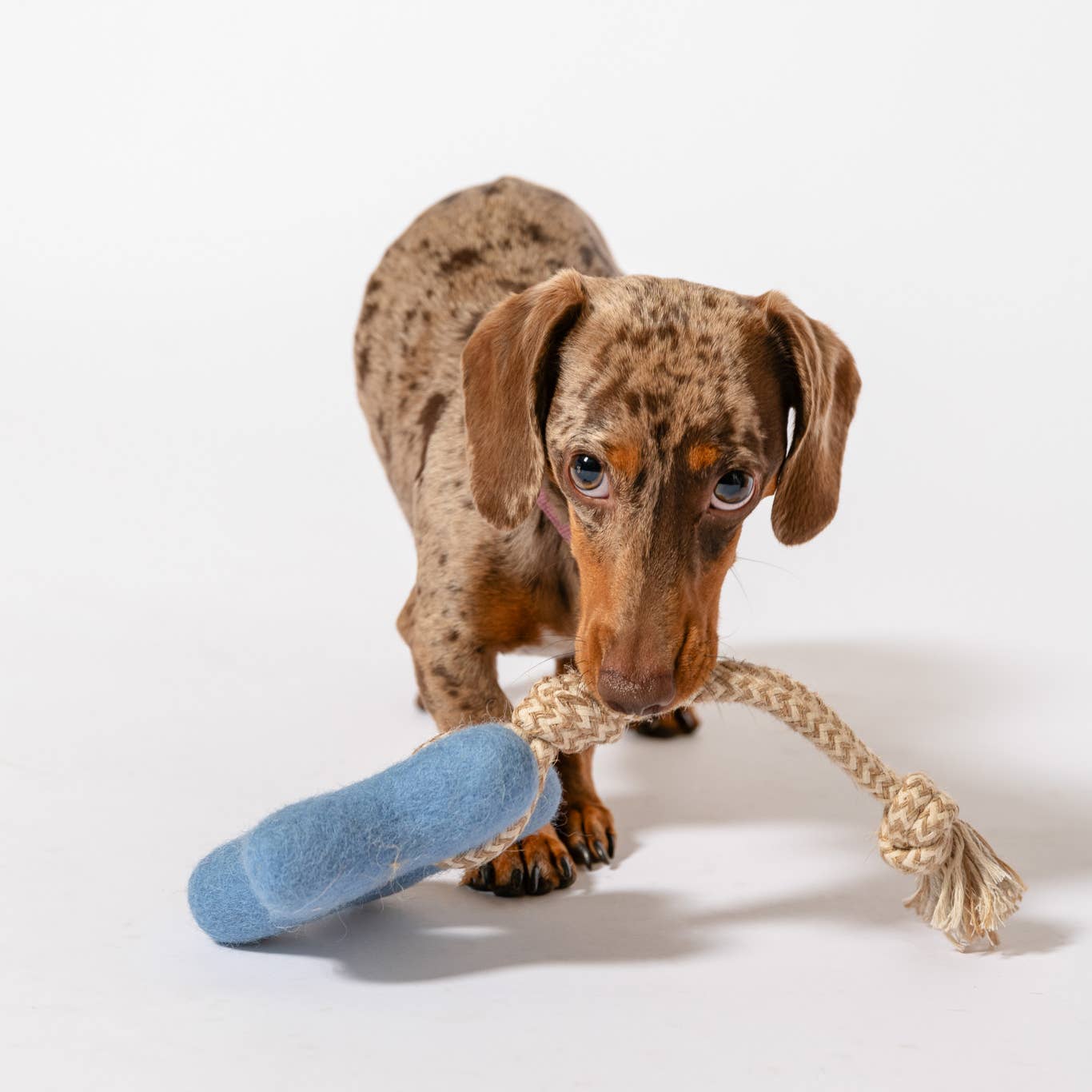 Comet's Tail Felt Toy