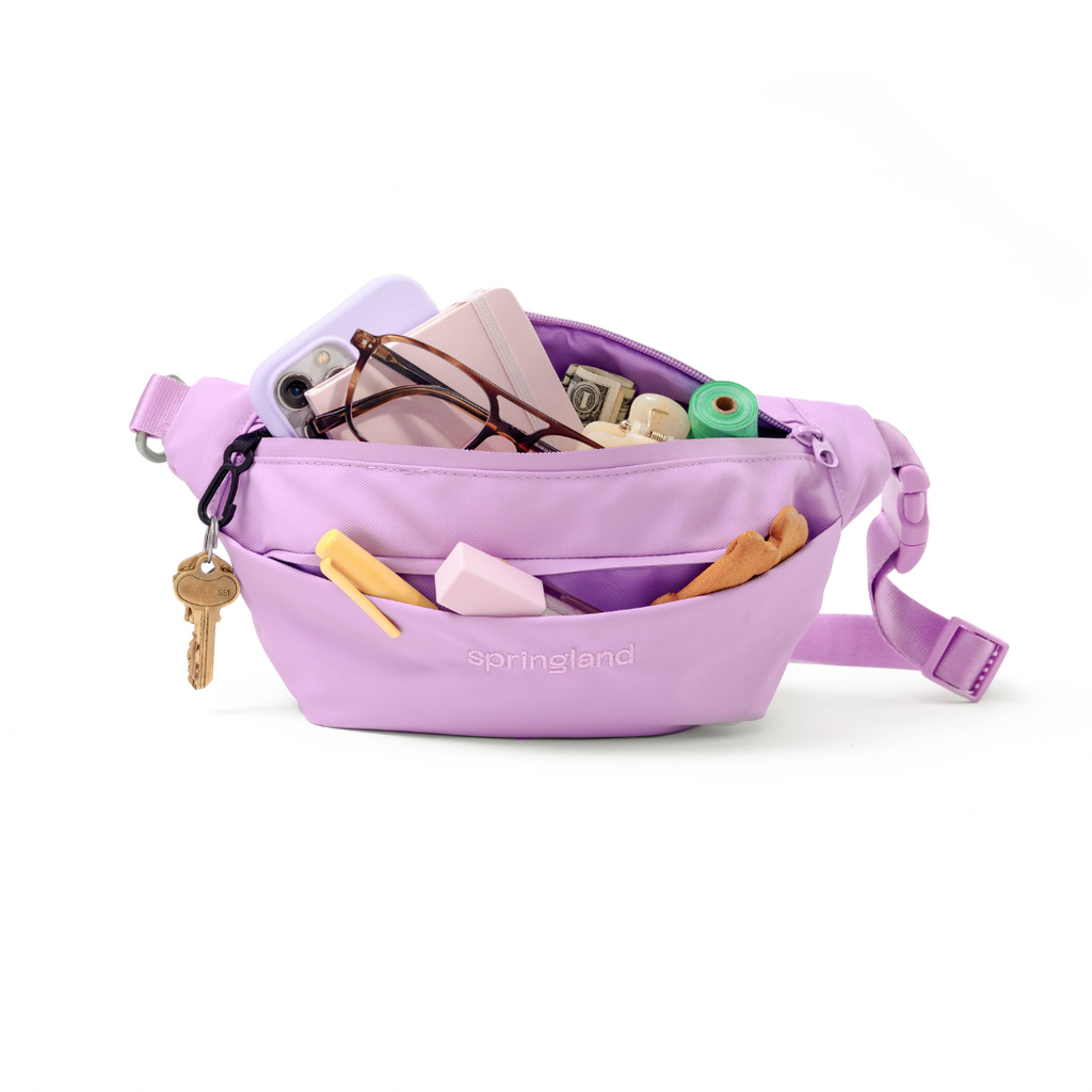 Hands-Free Dog Walking Bag WITH Leash