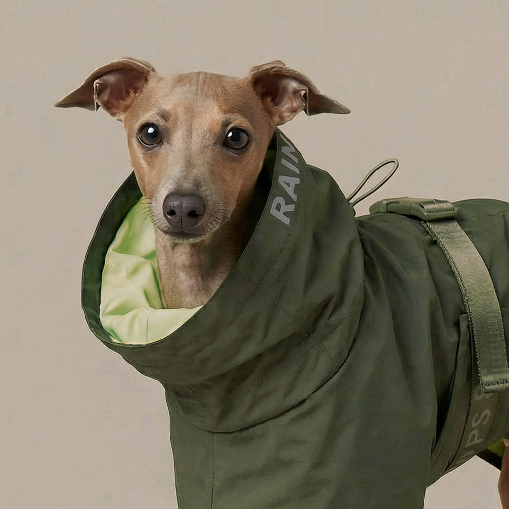 Pups & Bubs Lumi Raincoat for Dogs