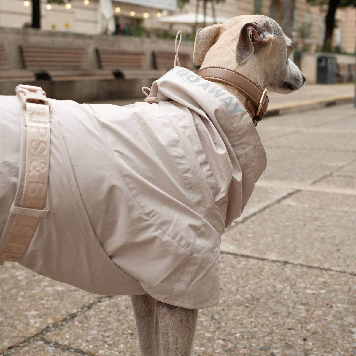 Pups & Bubs Lumi Raincoat for Dogs