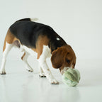 Toto Snuffle Ball – Silent Enrichment Toy (small pets)