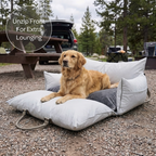 Marco Travel Pet Bed – Single & Double Seater, 4 Colours