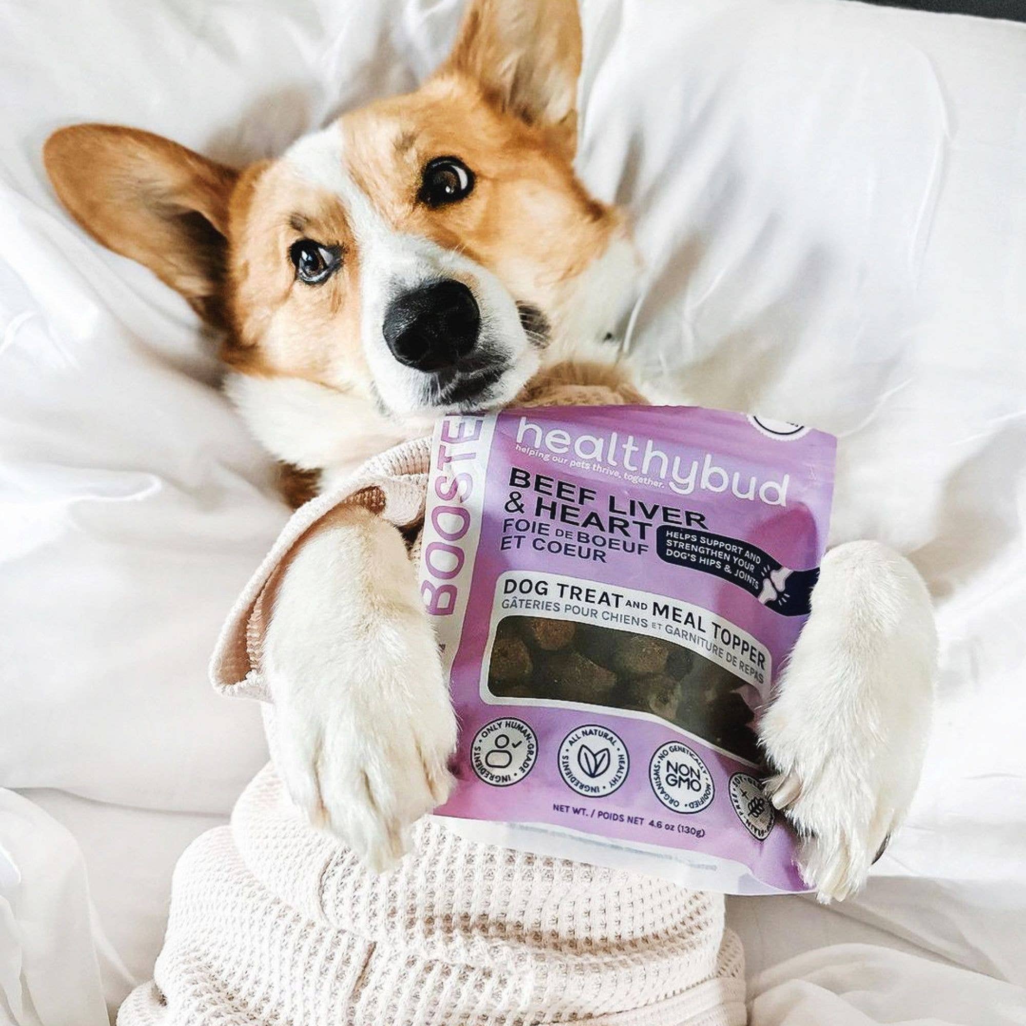 Beef Joint Booster Dog Treats