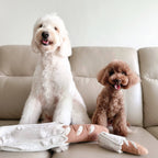 Mini Baguette – Enrichment Snuffle Toy (small pets)