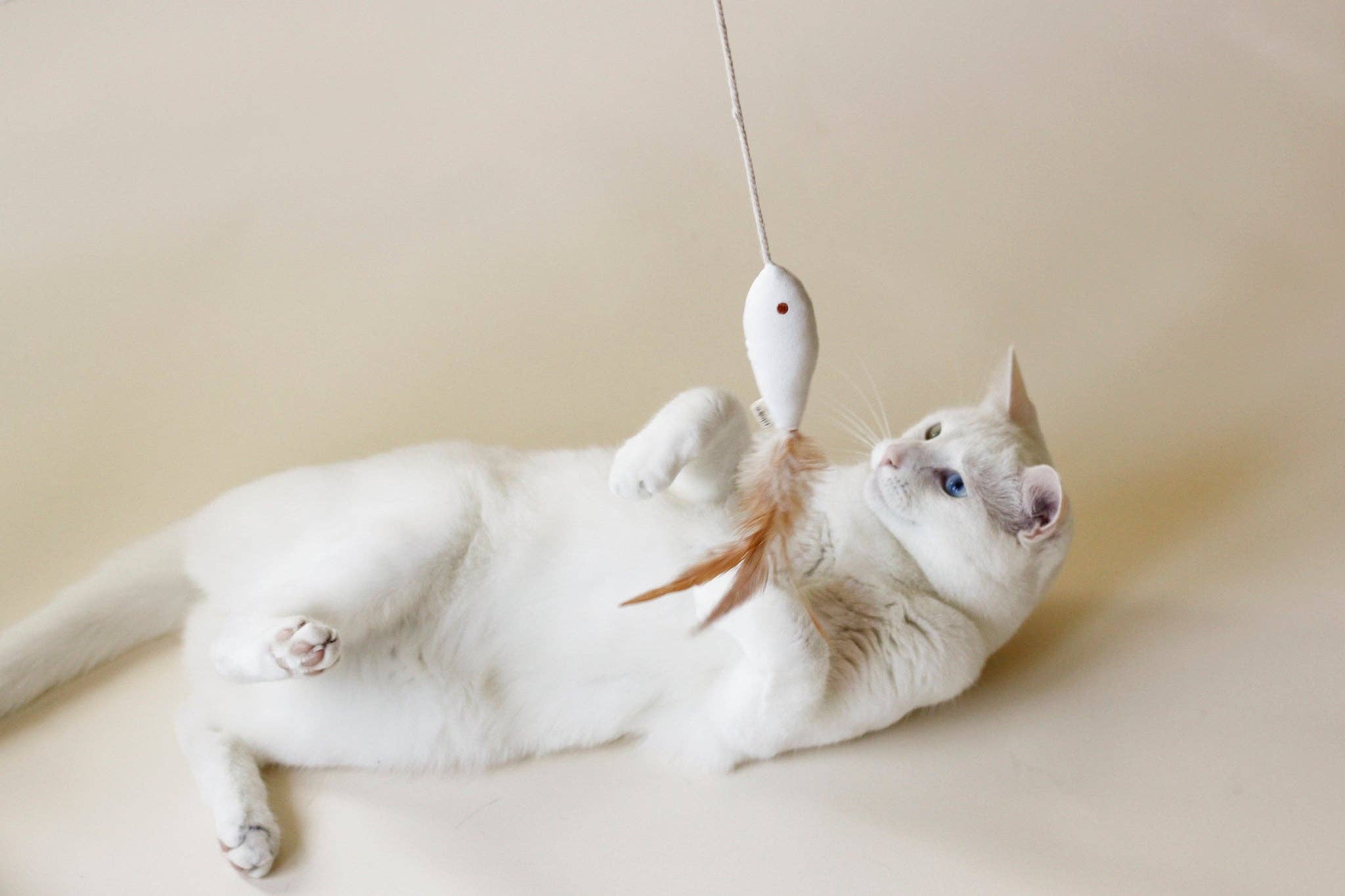 Golden Fish Catnip Cat Toy