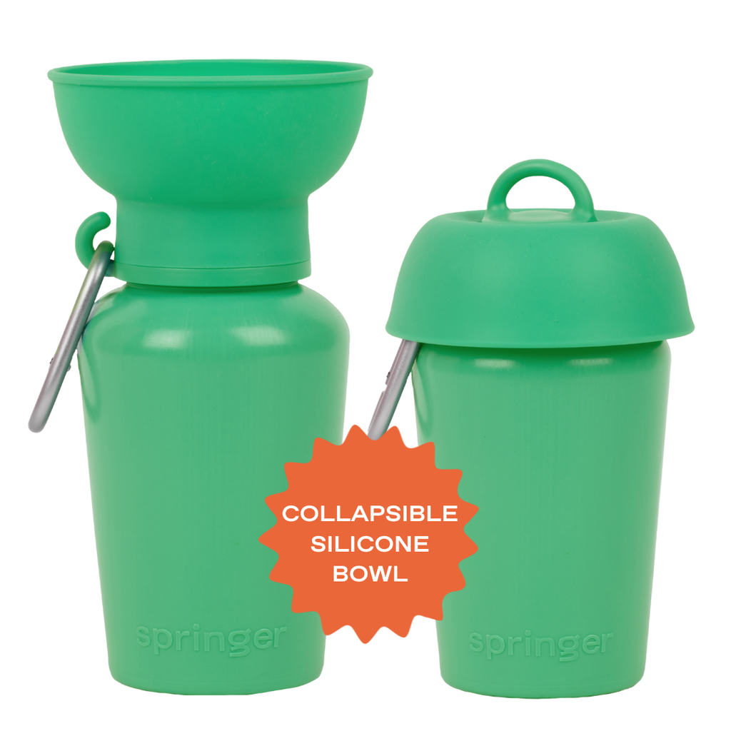 Springland Pets Flip Dog Travel Water Bottle – 20oz
