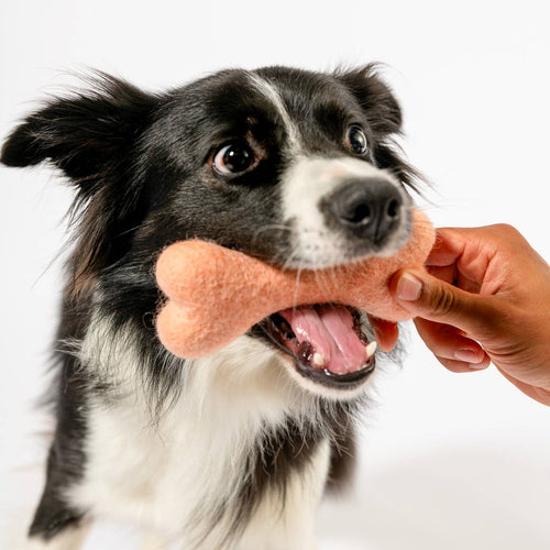 Awoo Bone Felt Wool Dog Toy – Peach
