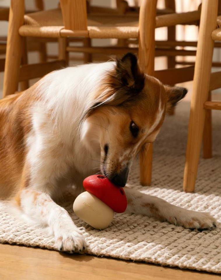 SmartyPaws Tumbler - Mushroom - Interactive dog toy