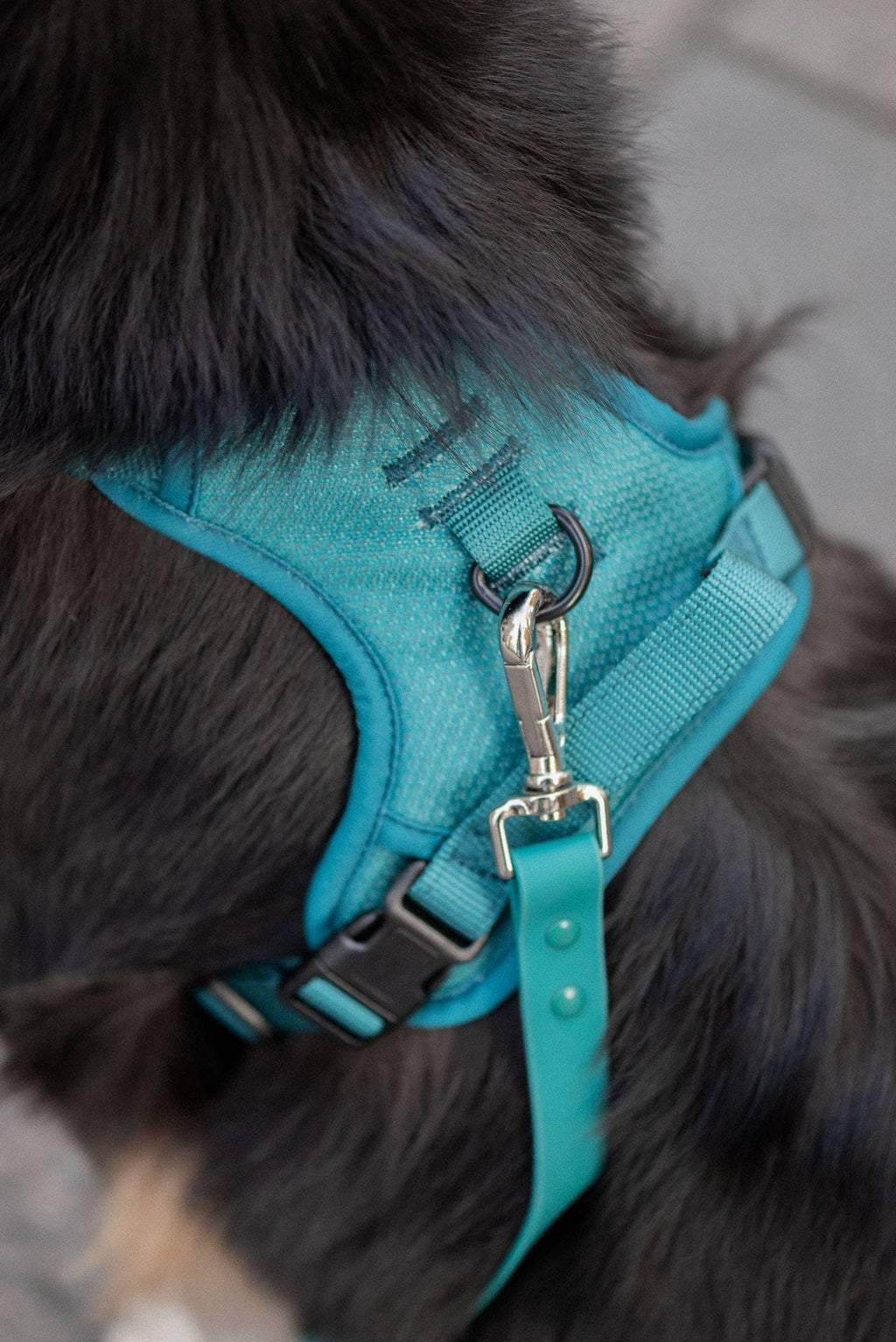 Mojito Classic 2.0 Harness