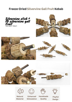 Freeze Dried Silvervine Gall Fruit Toys