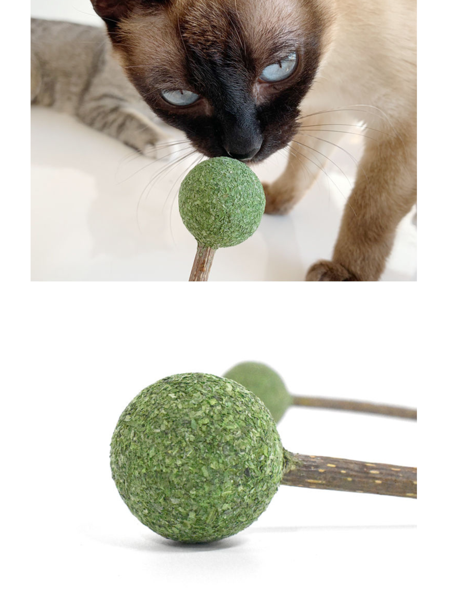 Catnip / Silvervine Lollipop
