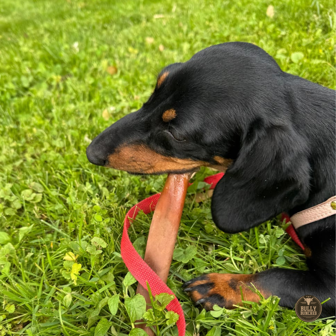 Bully Bunches 6 Inch Beef Collagen Stick