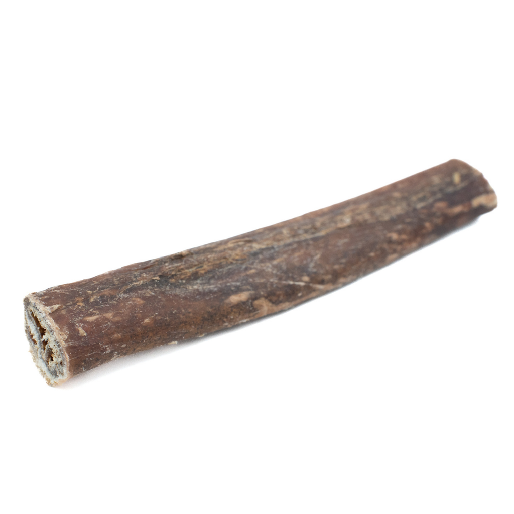 Champion Chew Collagen & Bully Stick Dog Chew – 5–6 Inch