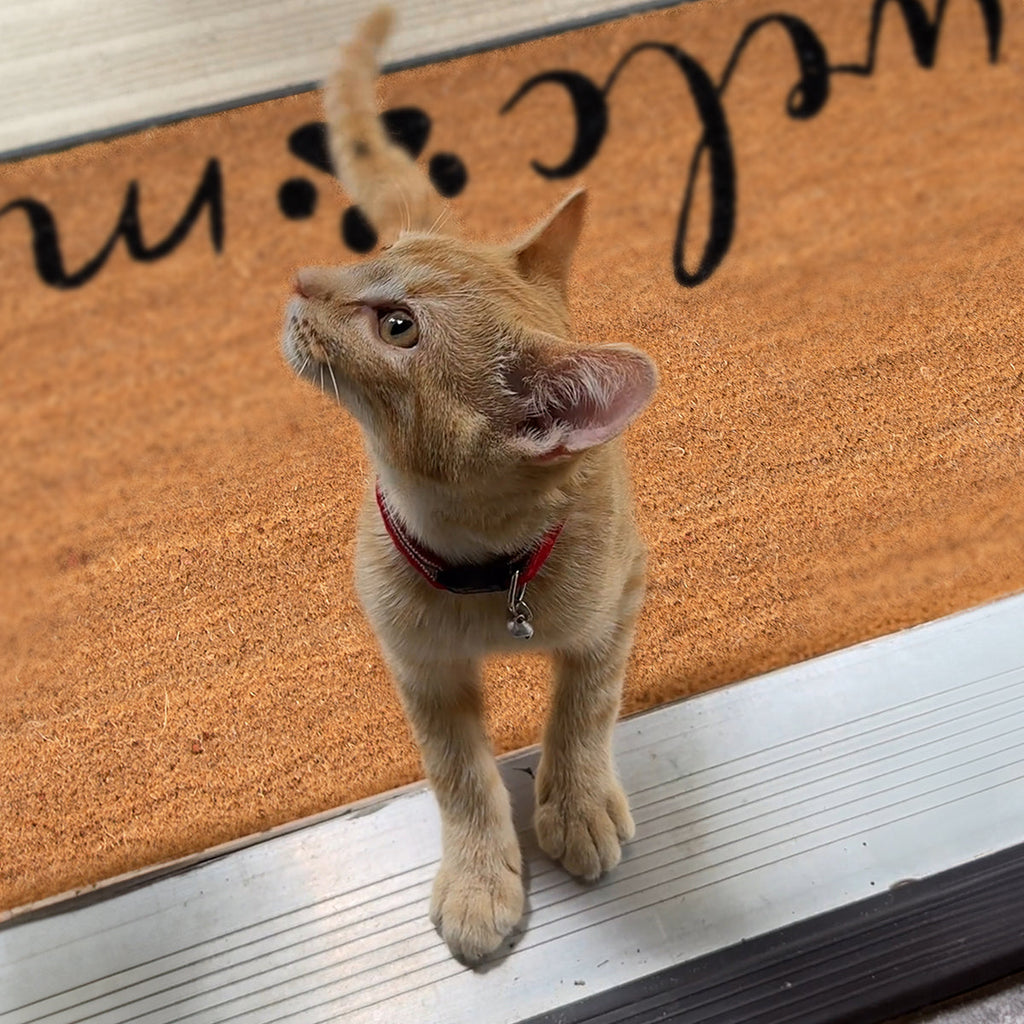 Welcome + Paw Rectangular Doormat Set – Convertible Two-Piece System