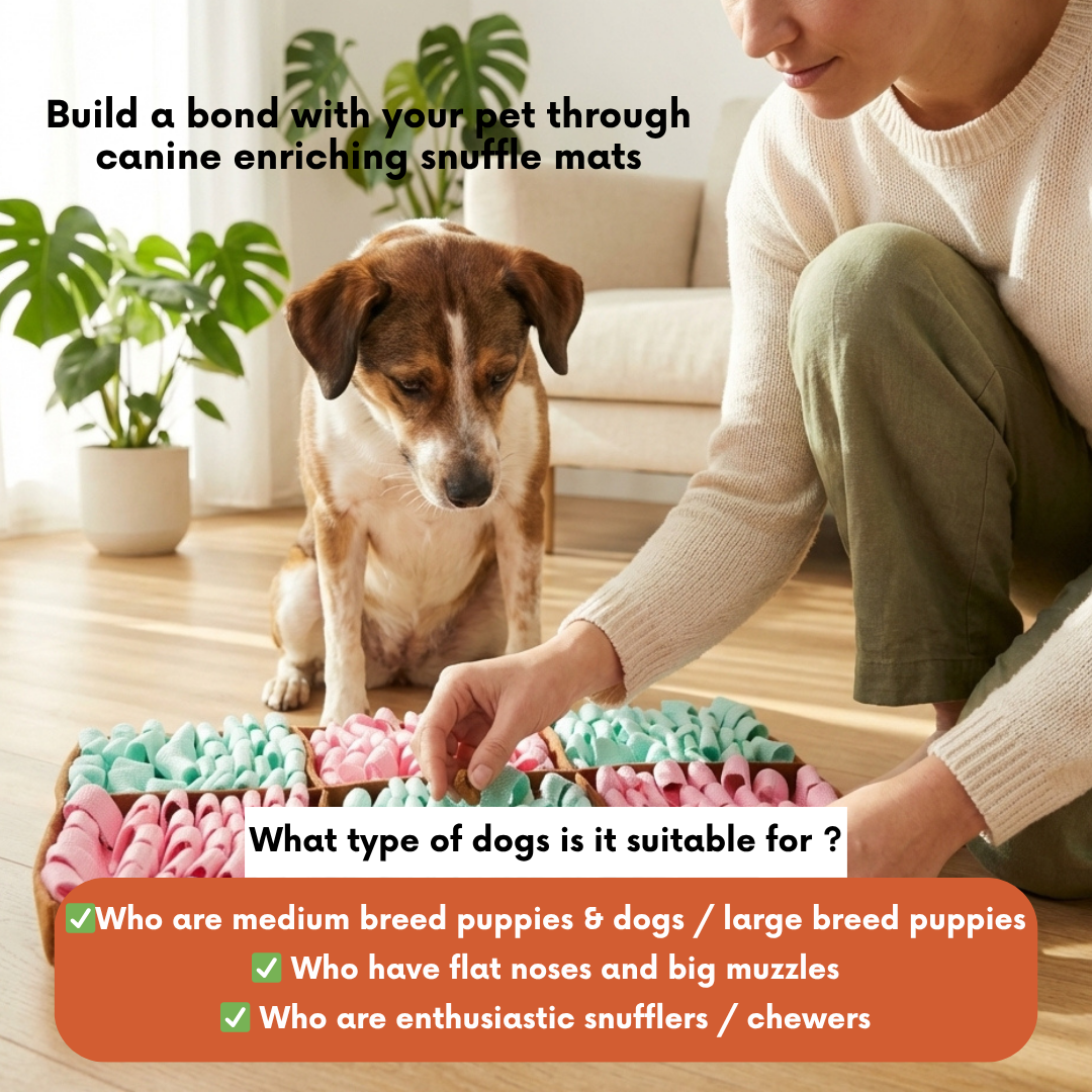 LuvMyFido Gourmet Delights™ Snuffle Mat