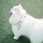 Jelly Harness – Grape Jelly