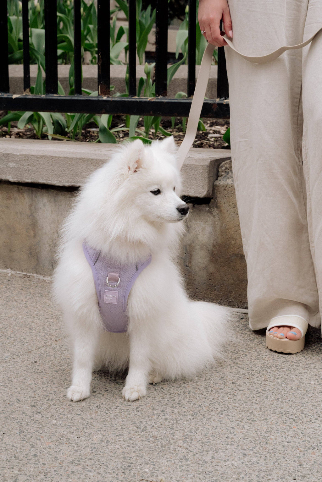 Classic 2.0 Harness Lila