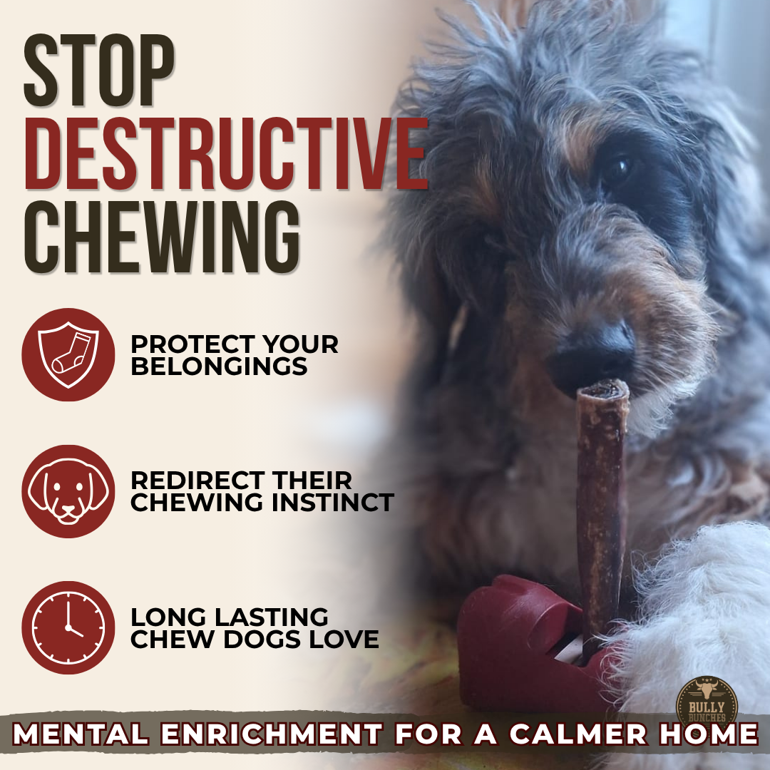 Champion Chew Collagen & Bully Stick Dog Chew – 5–6 Inch