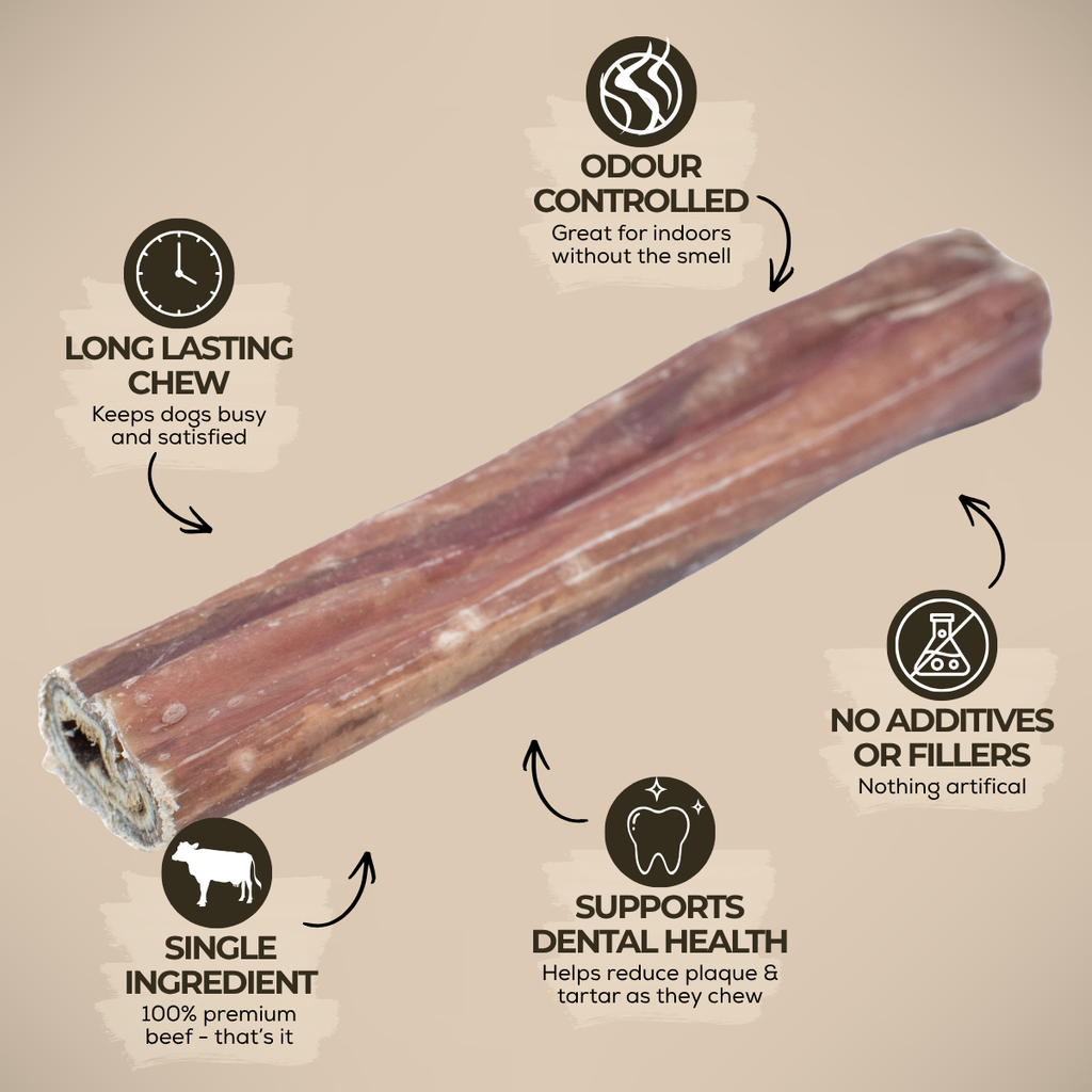 Champion Chew Collagen & Bully Stick Dog Chew – 5–6 Inch