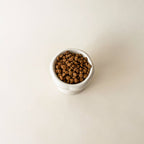 Creamy Ceramic Cat Food Bowl