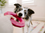 ZippyTuff+ Magenta Ring - Tough Dog Toy
