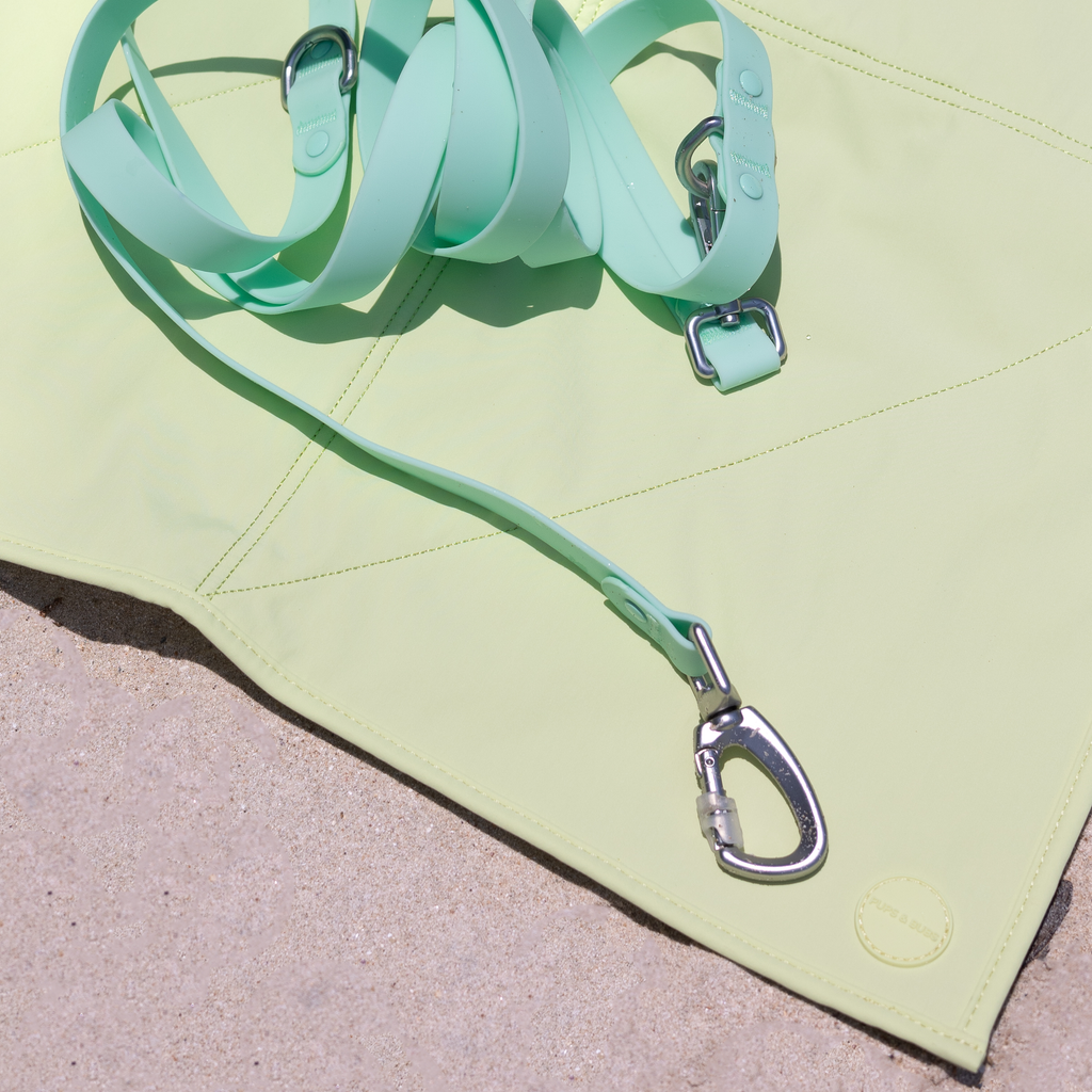 Roam Leash Lite – Multi-Way Waterproof Dog Leash