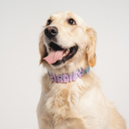 Springland Pets Silicone Dog Collar Charm