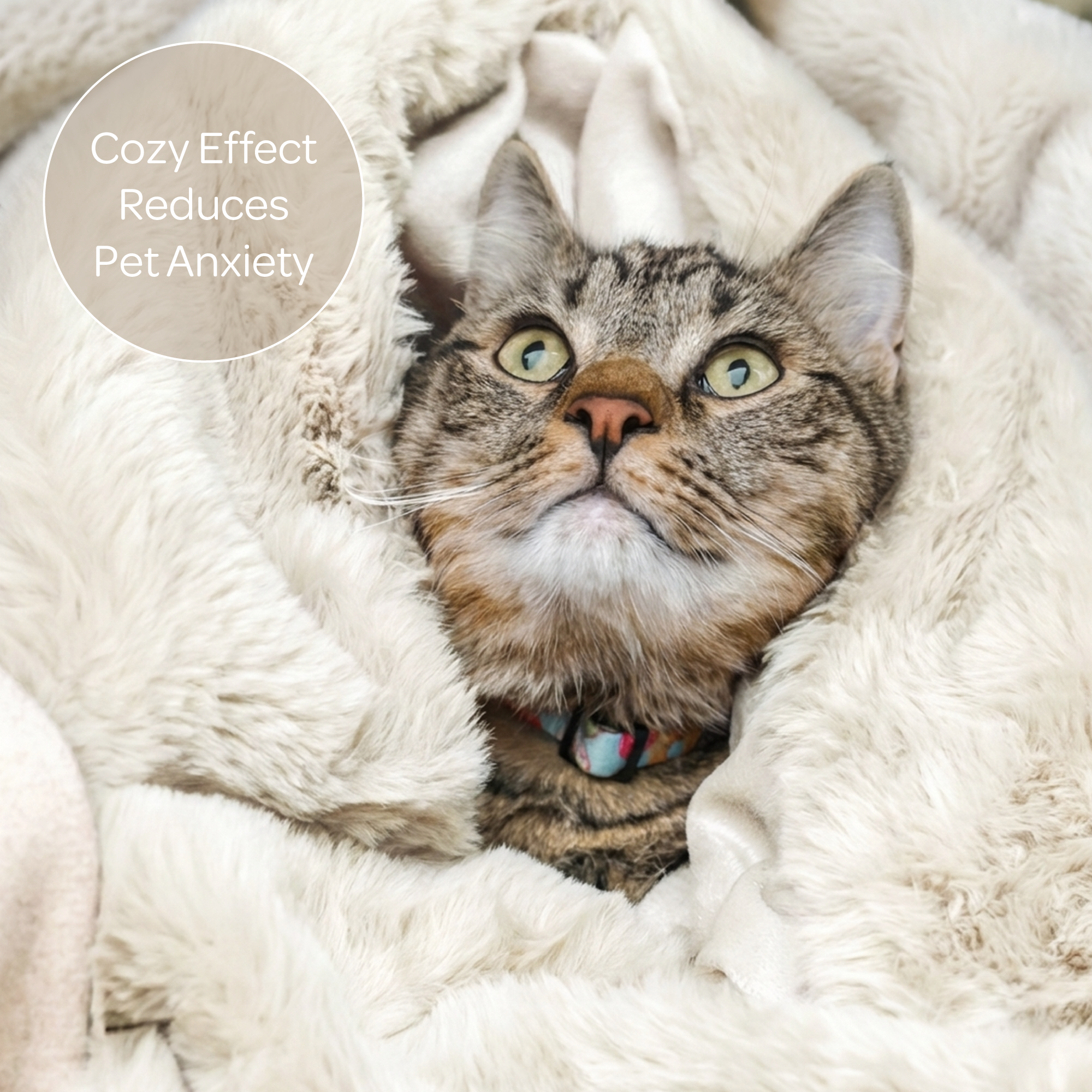 Pixie Pet Throw – Faux Fur, Leak-Resistant, 5 Colours