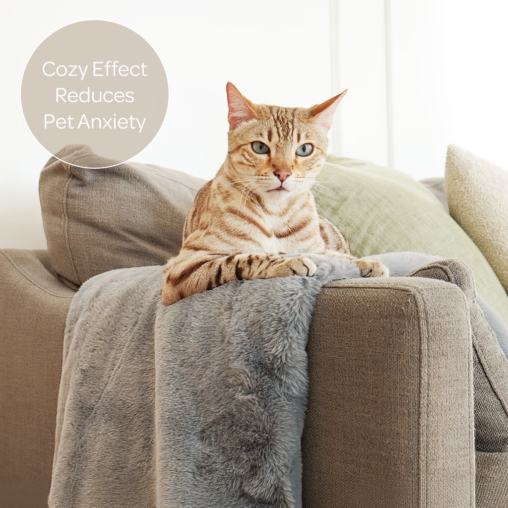 Pixie Pet Throw – Faux Fur, Leak-Resistant, 5 Colours