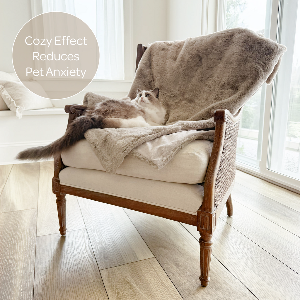 Pixie Pet Throw – Faux Fur, Leak-Resistant, 5 Colours