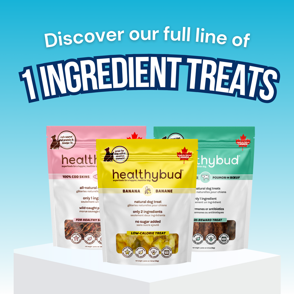 Single-Ingredient Cod Skin Cube Dog Treats