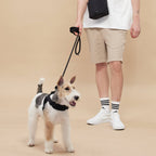 Rover Harness – Sand