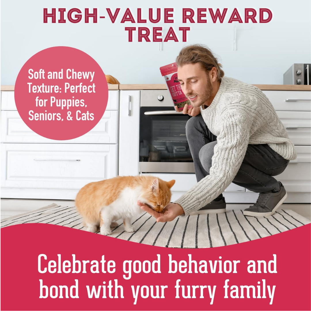 Duck & Cranberry Soft Dog Treats: Chewy & All-Natural