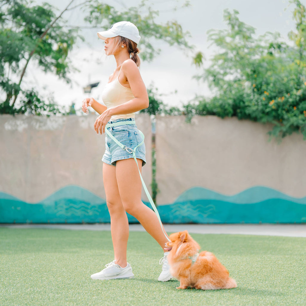 Roam Leash Lite – Multi-Way Waterproof Dog Leash