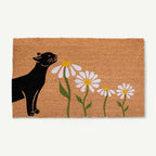 spring kitty convertible entrance doormat